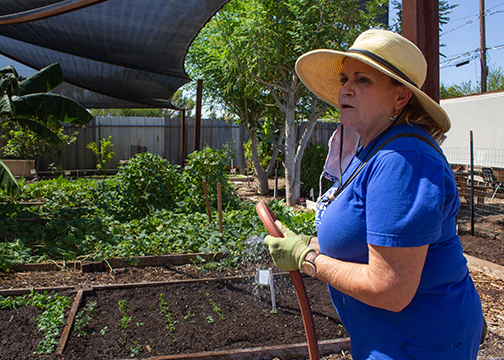 Woman watering plants