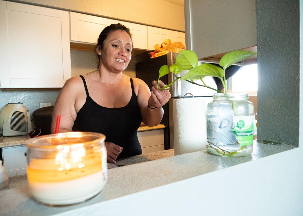 Woman looking at a plant in her kitchen