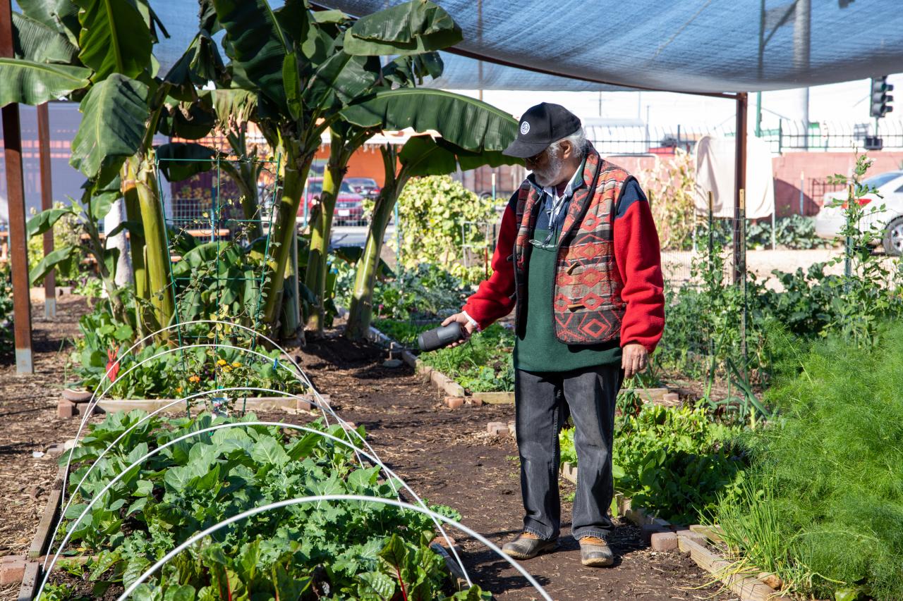 Jim Dilettoso holds a Bluetooth speaker as it plays sounds and music for the plants at the Mesa Urban Farm