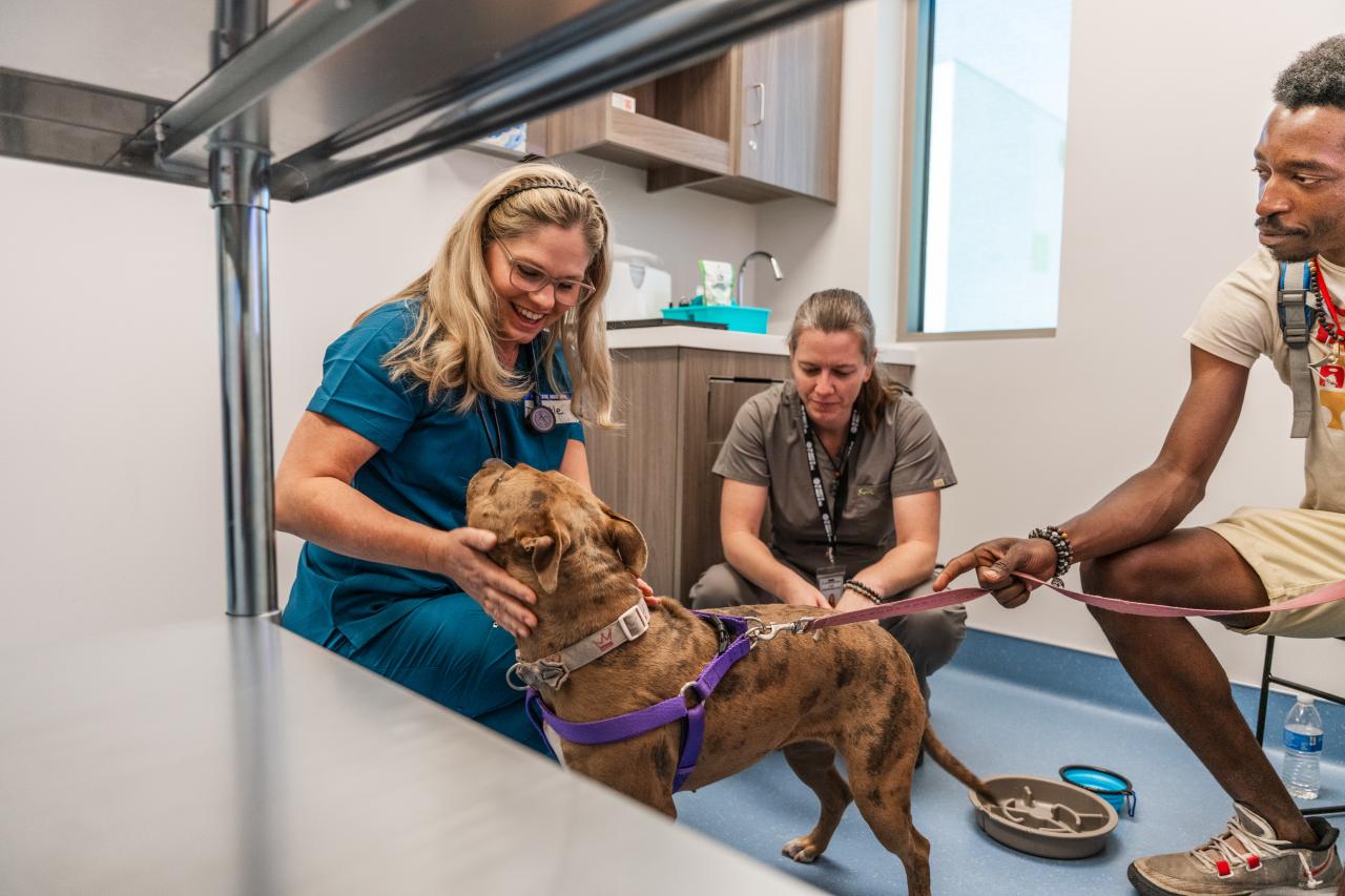 Duchess receiving care