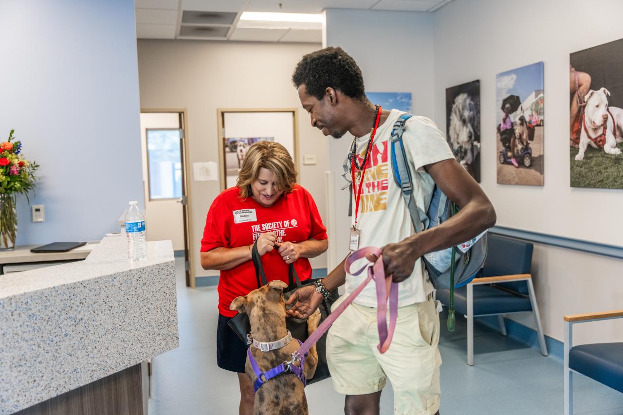 Duchess receiving treats